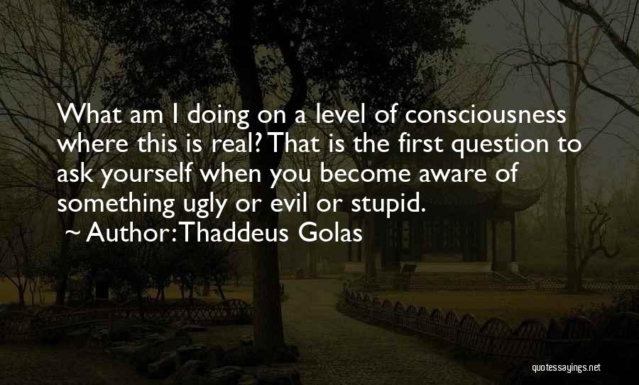 Thaddeus Golas Quotes: What Am I Doing On A Level Of Consciousness Where This Is Real? That Is The First Question To Ask