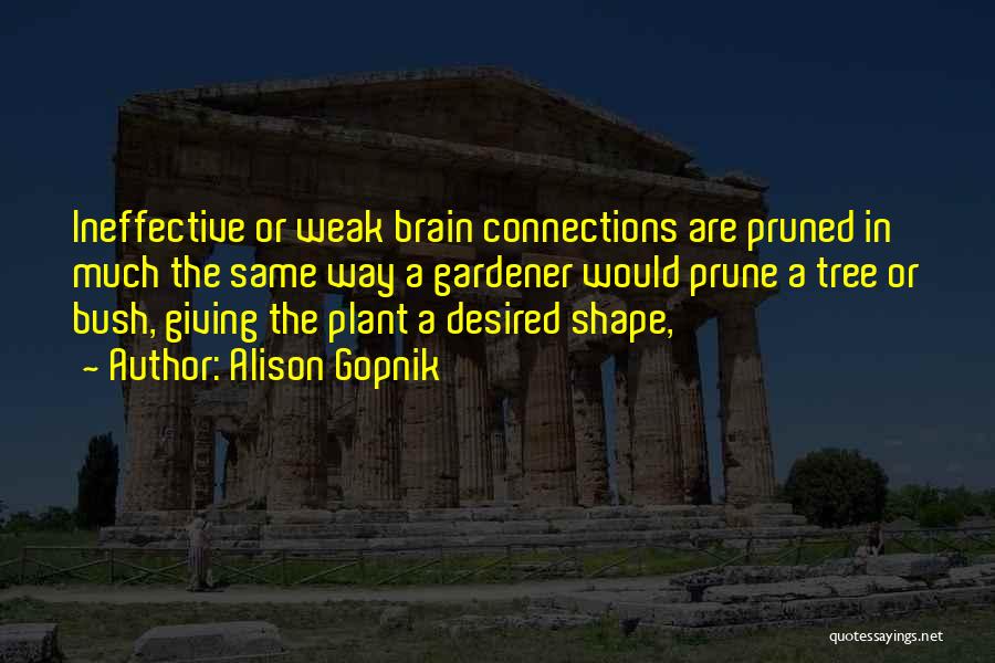 Alison Gopnik Quotes: Ineffective Or Weak Brain Connections Are Pruned In Much The Same Way A Gardener Would Prune A Tree Or Bush,