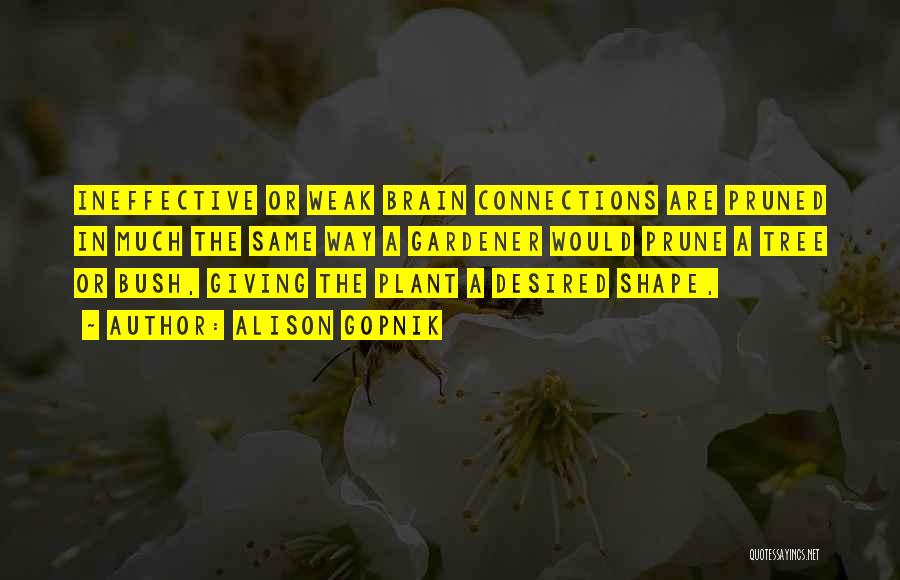 Alison Gopnik Quotes: Ineffective Or Weak Brain Connections Are Pruned In Much The Same Way A Gardener Would Prune A Tree Or Bush,