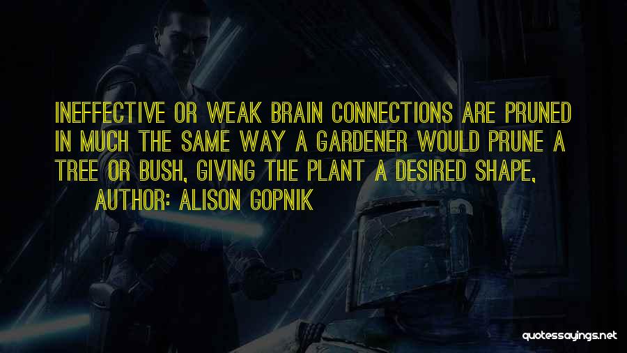 Alison Gopnik Quotes: Ineffective Or Weak Brain Connections Are Pruned In Much The Same Way A Gardener Would Prune A Tree Or Bush,