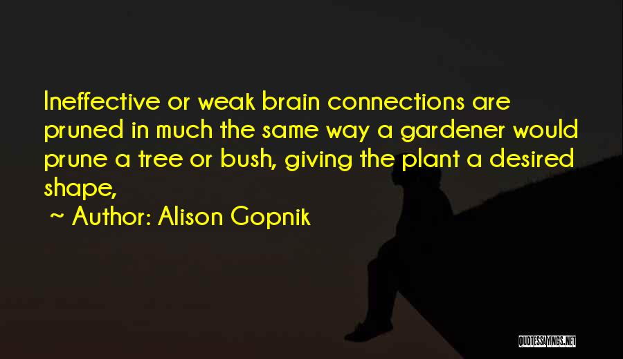 Alison Gopnik Quotes: Ineffective Or Weak Brain Connections Are Pruned In Much The Same Way A Gardener Would Prune A Tree Or Bush,