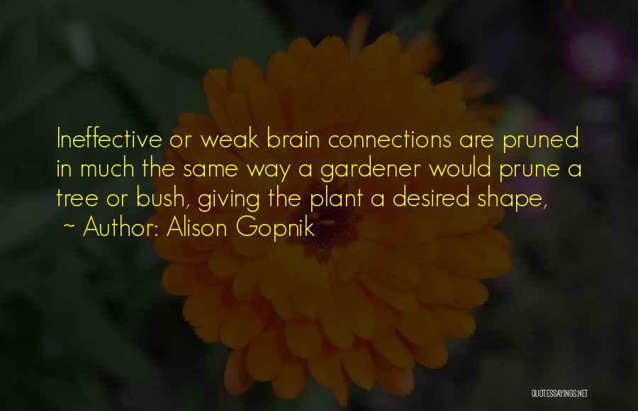 Alison Gopnik Quotes: Ineffective Or Weak Brain Connections Are Pruned In Much The Same Way A Gardener Would Prune A Tree Or Bush,
