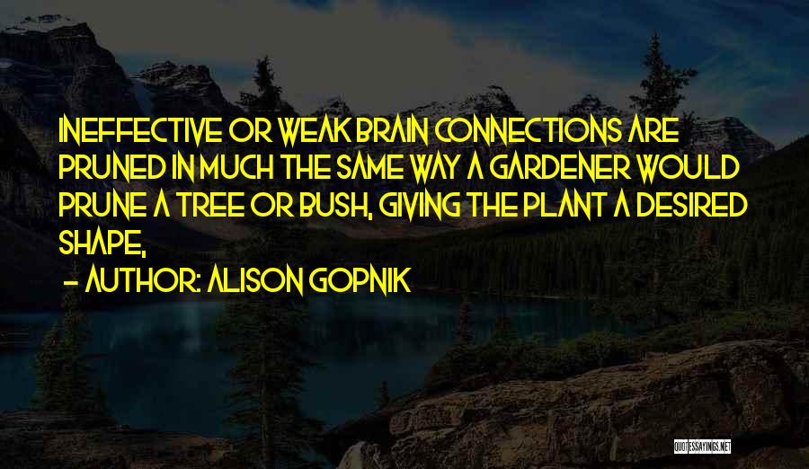 Alison Gopnik Quotes: Ineffective Or Weak Brain Connections Are Pruned In Much The Same Way A Gardener Would Prune A Tree Or Bush,