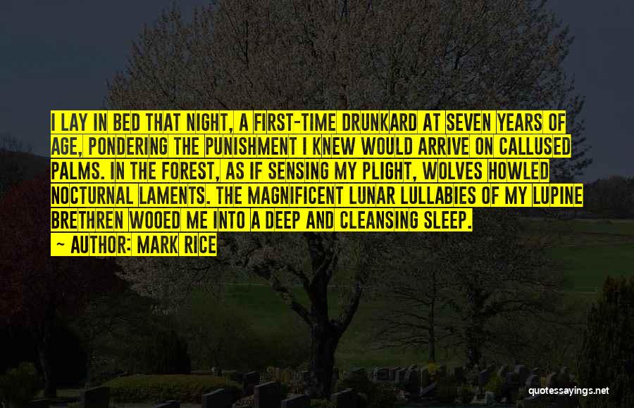 Mark Rice Quotes: I Lay In Bed That Night, A First-time Drunkard At Seven Years Of Age, Pondering The Punishment I Knew Would