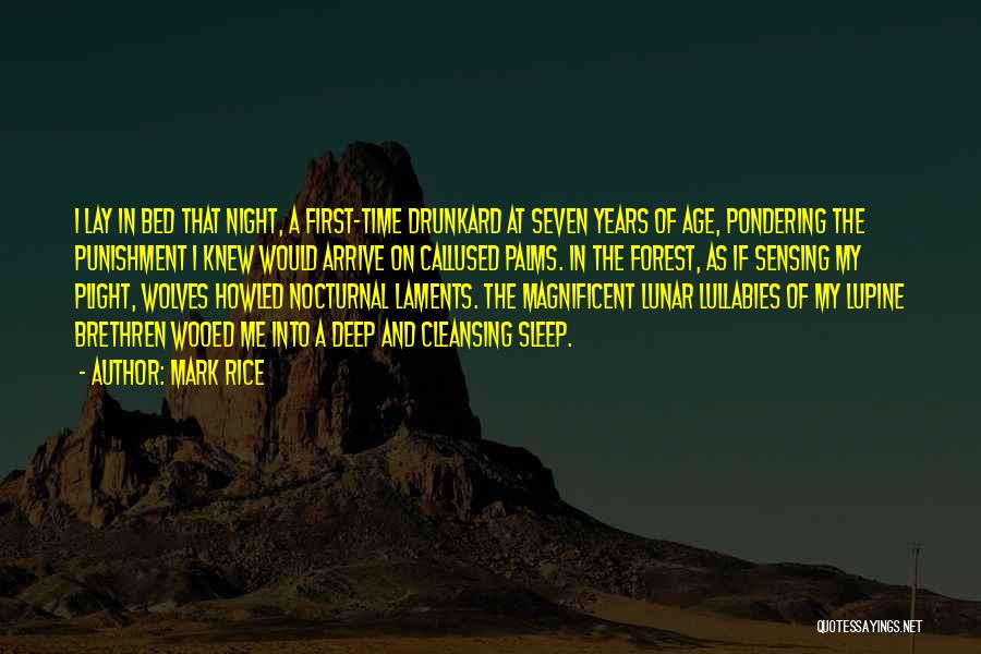 Mark Rice Quotes: I Lay In Bed That Night, A First-time Drunkard At Seven Years Of Age, Pondering The Punishment I Knew Would