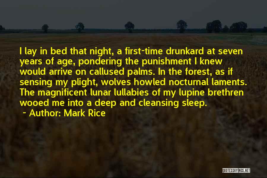 Mark Rice Quotes: I Lay In Bed That Night, A First-time Drunkard At Seven Years Of Age, Pondering The Punishment I Knew Would