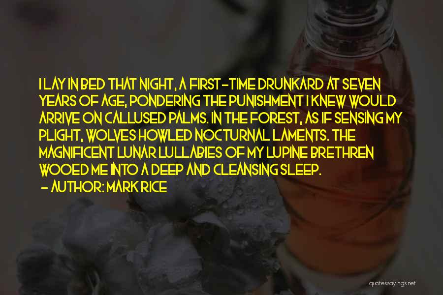 Mark Rice Quotes: I Lay In Bed That Night, A First-time Drunkard At Seven Years Of Age, Pondering The Punishment I Knew Would