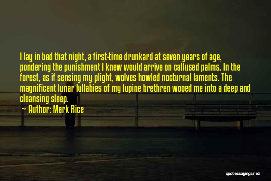 Mark Rice Quotes: I Lay In Bed That Night, A First-time Drunkard At Seven Years Of Age, Pondering The Punishment I Knew Would