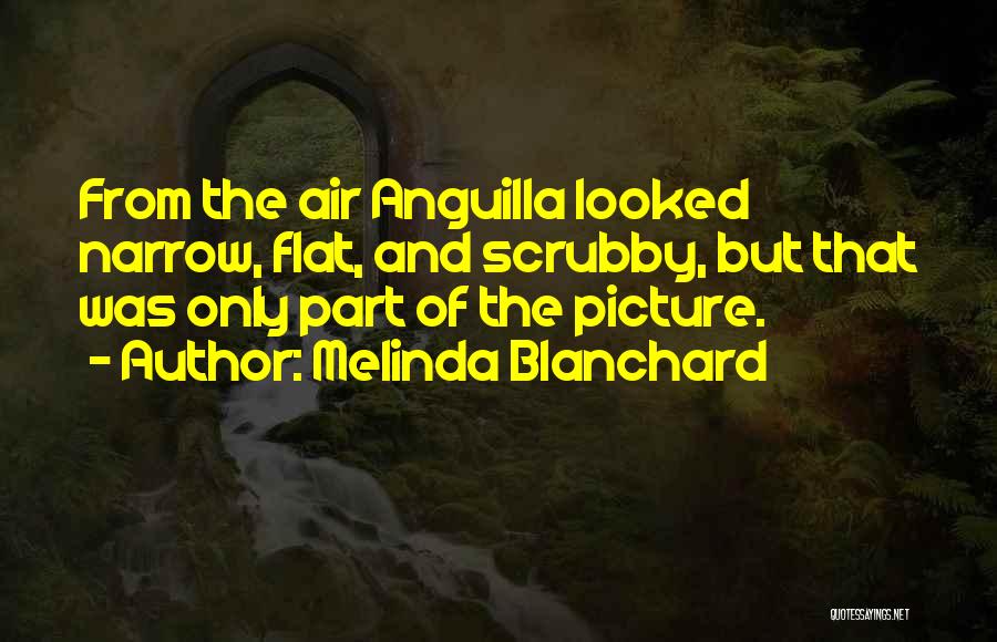 Melinda Blanchard Quotes: From The Air Anguilla Looked Narrow, Flat, And Scrubby, But That Was Only Part Of The Picture.