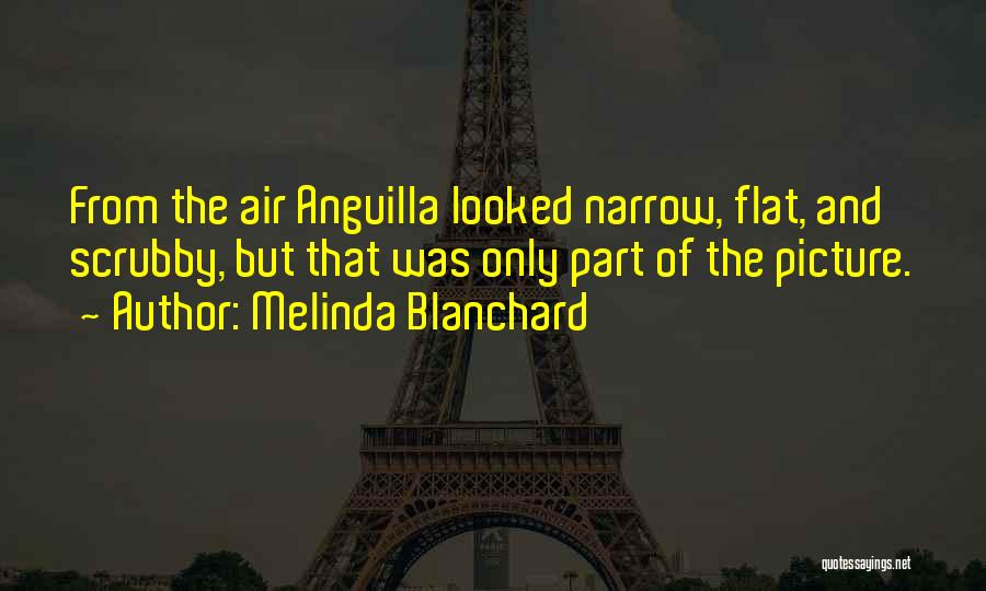 Melinda Blanchard Quotes: From The Air Anguilla Looked Narrow, Flat, And Scrubby, But That Was Only Part Of The Picture.