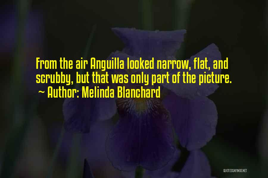 Melinda Blanchard Quotes: From The Air Anguilla Looked Narrow, Flat, And Scrubby, But That Was Only Part Of The Picture.