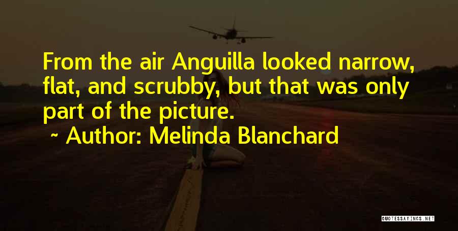 Melinda Blanchard Quotes: From The Air Anguilla Looked Narrow, Flat, And Scrubby, But That Was Only Part Of The Picture.