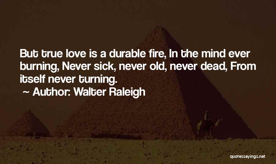 Walter Raleigh Quotes: But True Love Is A Durable Fire, In The Mind Ever Burning, Never Sick, Never Old, Never Dead, From Itself