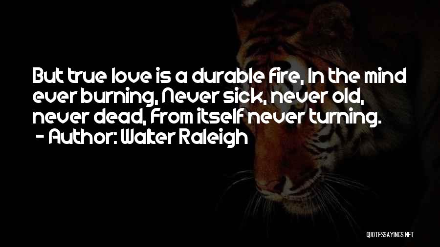 Walter Raleigh Quotes: But True Love Is A Durable Fire, In The Mind Ever Burning, Never Sick, Never Old, Never Dead, From Itself