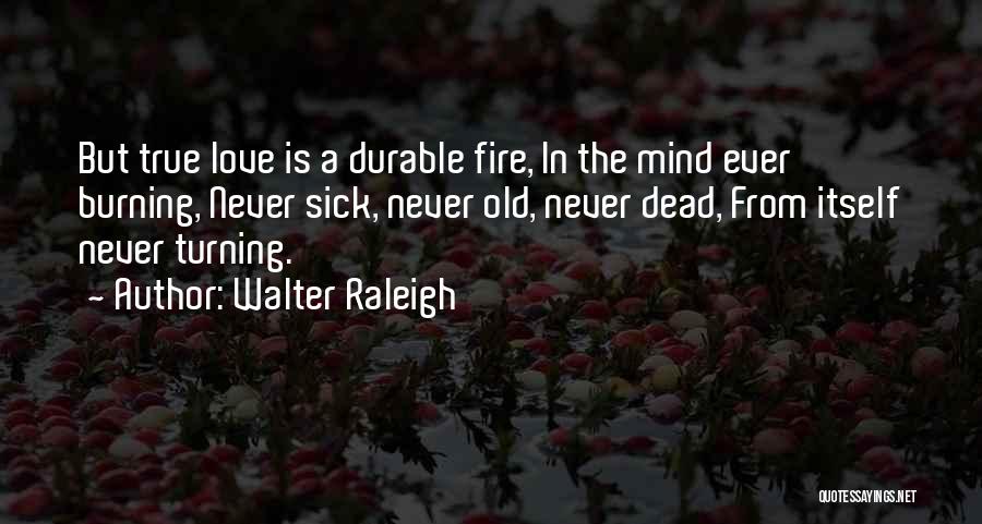 Walter Raleigh Quotes: But True Love Is A Durable Fire, In The Mind Ever Burning, Never Sick, Never Old, Never Dead, From Itself