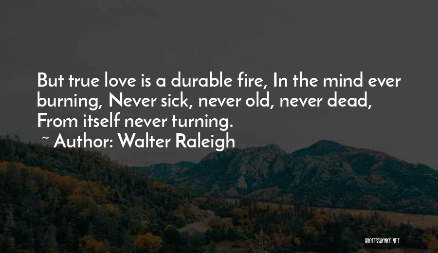 Walter Raleigh Quotes: But True Love Is A Durable Fire, In The Mind Ever Burning, Never Sick, Never Old, Never Dead, From Itself