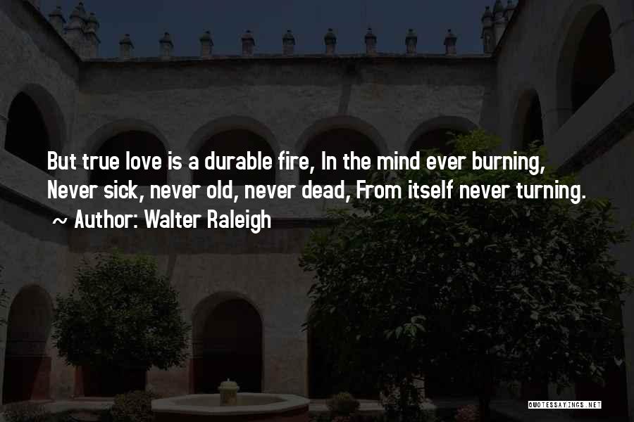 Walter Raleigh Quotes: But True Love Is A Durable Fire, In The Mind Ever Burning, Never Sick, Never Old, Never Dead, From Itself