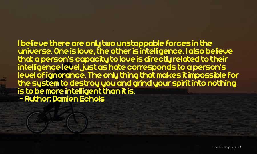 Damien Echols Quotes: I Believe There Are Only Two Unstoppable Forces In The Universe. One Is Love, The Other Is Intelligence. I Also