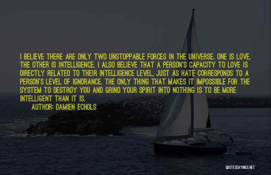Damien Echols Quotes: I Believe There Are Only Two Unstoppable Forces In The Universe. One Is Love, The Other Is Intelligence. I Also