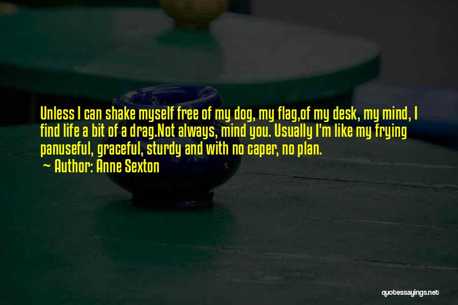 Anne Sexton Quotes: Unless I Can Shake Myself Free Of My Dog, My Flag,of My Desk, My Mind, I Find Life A Bit