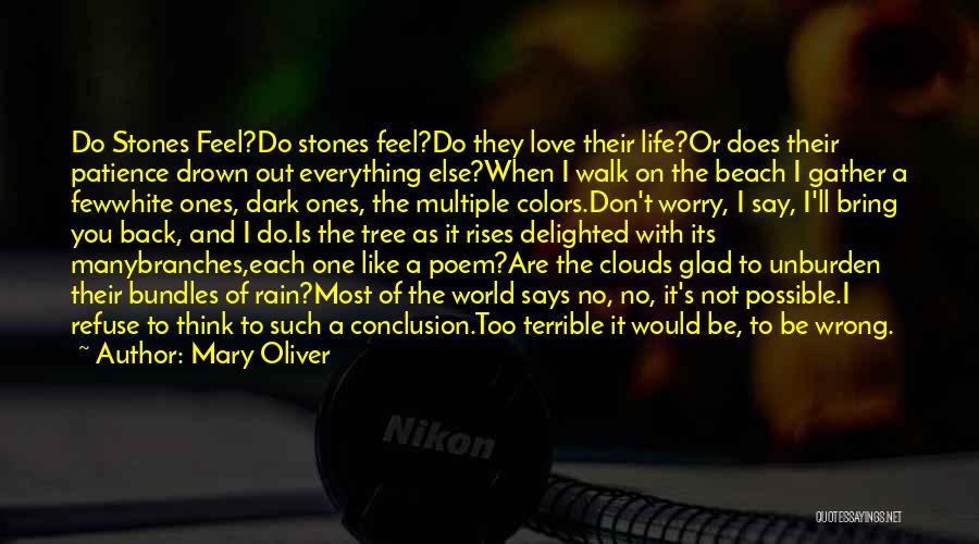 Mary Oliver Quotes: Do Stones Feel?do Stones Feel?do They Love Their Life?or Does Their Patience Drown Out Everything Else?when I Walk On The