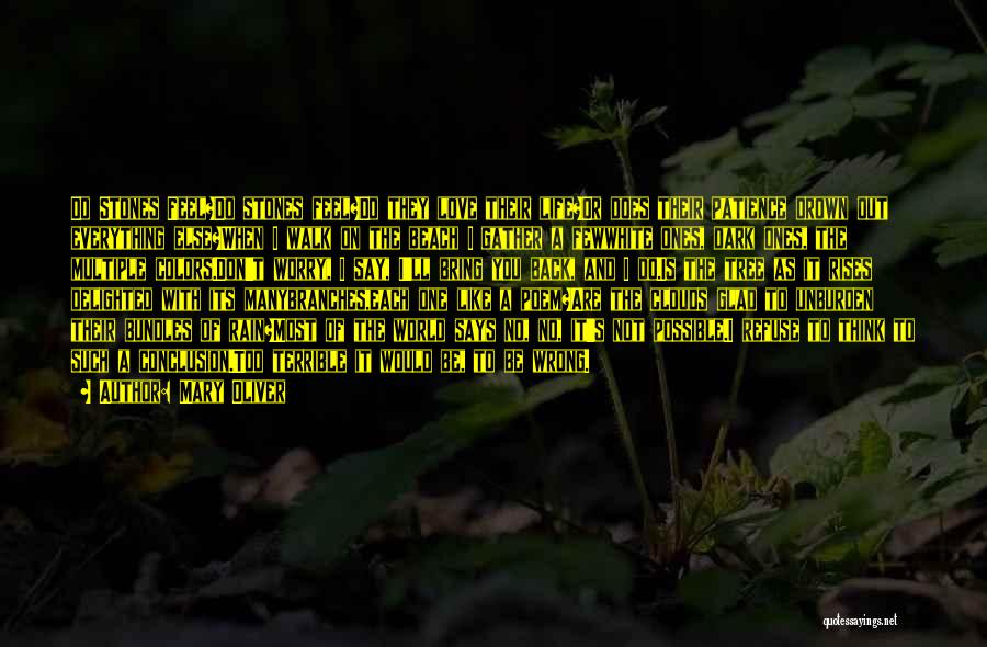 Mary Oliver Quotes: Do Stones Feel?do Stones Feel?do They Love Their Life?or Does Their Patience Drown Out Everything Else?when I Walk On The