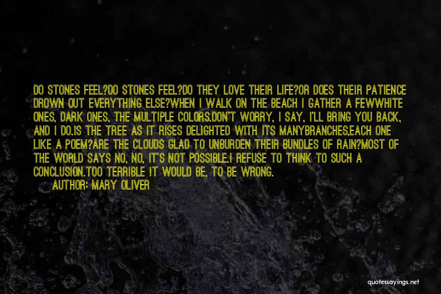 Mary Oliver Quotes: Do Stones Feel?do Stones Feel?do They Love Their Life?or Does Their Patience Drown Out Everything Else?when I Walk On The