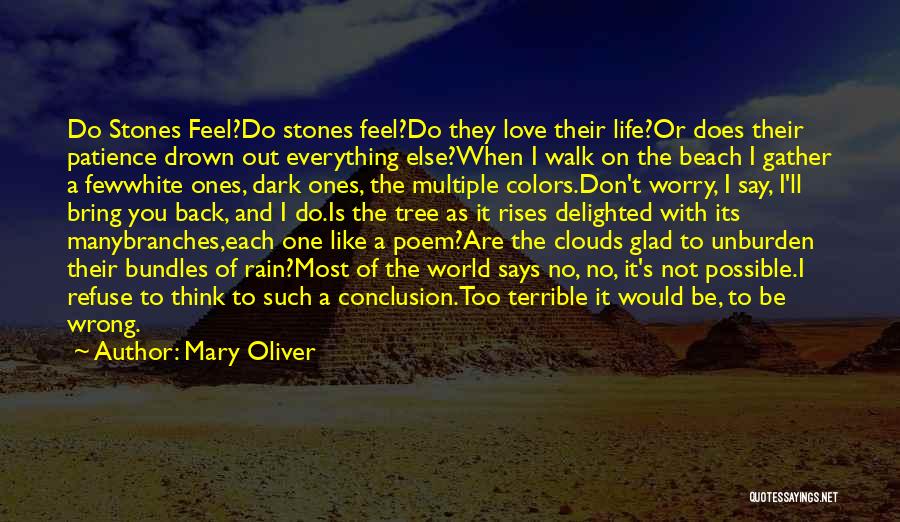 Mary Oliver Quotes: Do Stones Feel?do Stones Feel?do They Love Their Life?or Does Their Patience Drown Out Everything Else?when I Walk On The