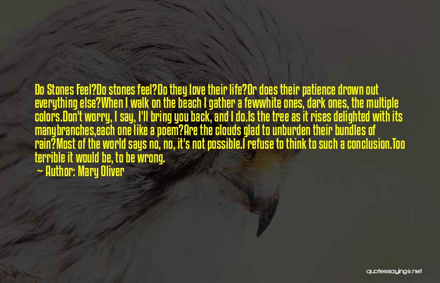 Mary Oliver Quotes: Do Stones Feel?do Stones Feel?do They Love Their Life?or Does Their Patience Drown Out Everything Else?when I Walk On The