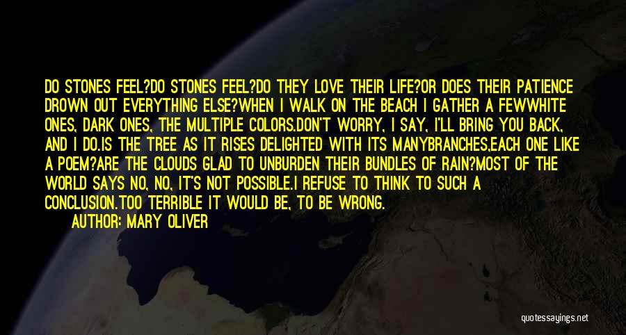 Mary Oliver Quotes: Do Stones Feel?do Stones Feel?do They Love Their Life?or Does Their Patience Drown Out Everything Else?when I Walk On The