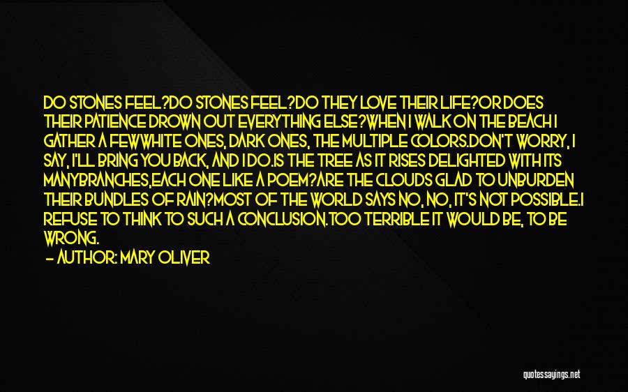 Mary Oliver Quotes: Do Stones Feel?do Stones Feel?do They Love Their Life?or Does Their Patience Drown Out Everything Else?when I Walk On The