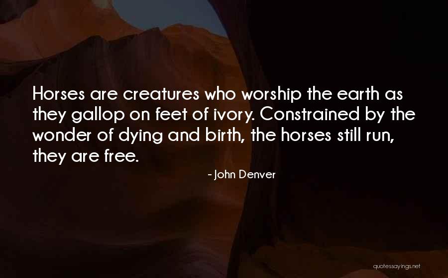 43551 Quotes By John Denver 43551 Quotes By John Denver