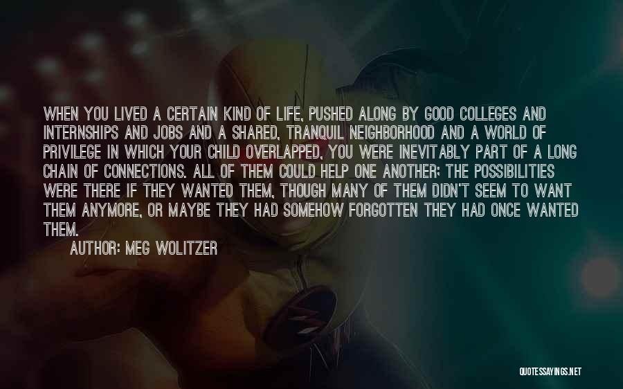 Meg Wolitzer Quotes: When You Lived A Certain Kind Of Life, Pushed Along By Good Colleges And Internships And Jobs And A Shared,