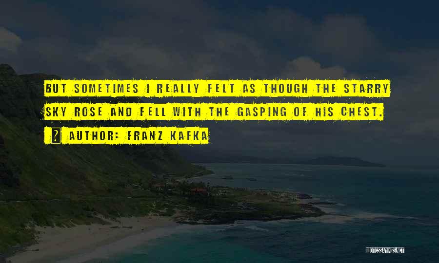 Franz Kafka Quotes: But Sometimes I Really Felt As Though The Starry Sky Rose And Fell With The Gasping Of His Chest.