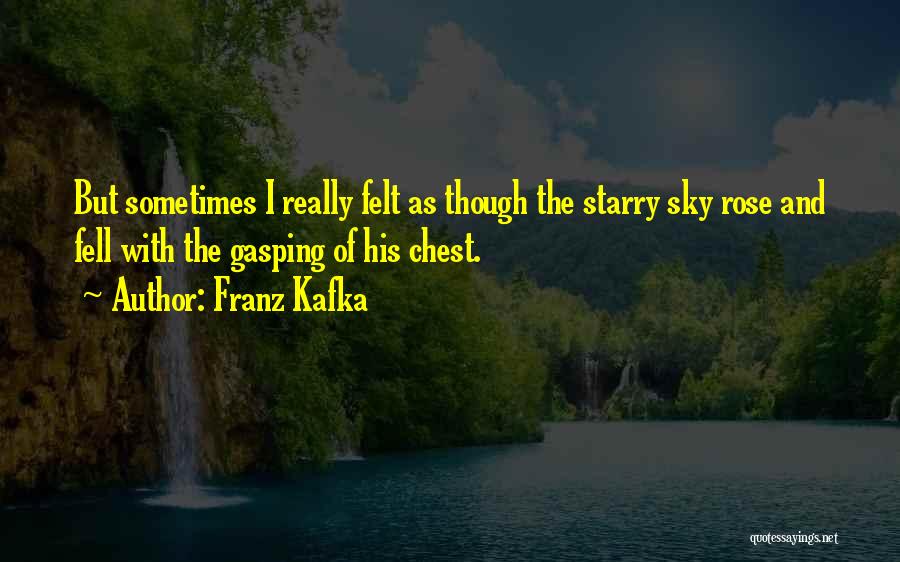 Franz Kafka Quotes: But Sometimes I Really Felt As Though The Starry Sky Rose And Fell With The Gasping Of His Chest.