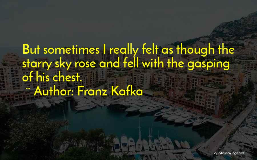 Franz Kafka Quotes: But Sometimes I Really Felt As Though The Starry Sky Rose And Fell With The Gasping Of His Chest.