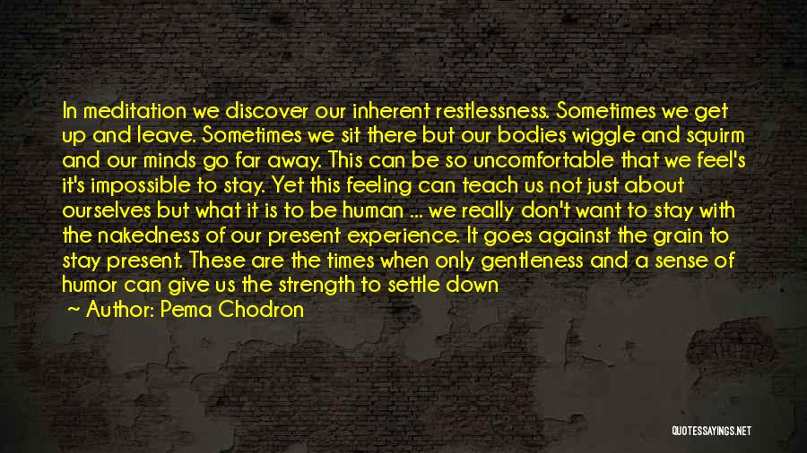 Pema Chodron Quotes: In Meditation We Discover Our Inherent Restlessness. Sometimes We Get Up And Leave. Sometimes We Sit There But Our Bodies