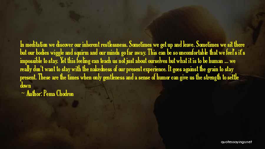 Pema Chodron Quotes: In Meditation We Discover Our Inherent Restlessness. Sometimes We Get Up And Leave. Sometimes We Sit There But Our Bodies