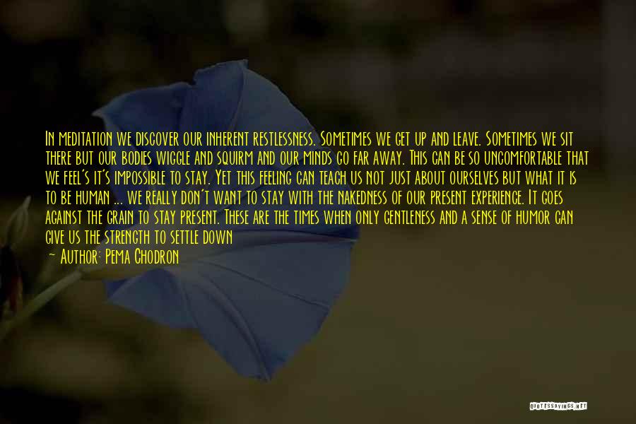 Pema Chodron Quotes: In Meditation We Discover Our Inherent Restlessness. Sometimes We Get Up And Leave. Sometimes We Sit There But Our Bodies