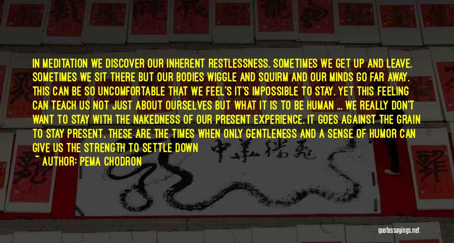 Pema Chodron Quotes: In Meditation We Discover Our Inherent Restlessness. Sometimes We Get Up And Leave. Sometimes We Sit There But Our Bodies