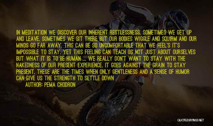 Pema Chodron Quotes: In Meditation We Discover Our Inherent Restlessness. Sometimes We Get Up And Leave. Sometimes We Sit There But Our Bodies