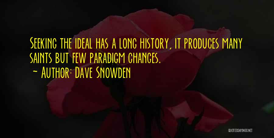 Dave Snowden Quotes: Seeking The Ideal Has A Long History, It Produces Many Saints But Few Paradigm Changes.