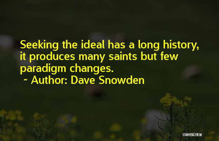 Dave Snowden Quotes: Seeking The Ideal Has A Long History, It Produces Many Saints But Few Paradigm Changes.