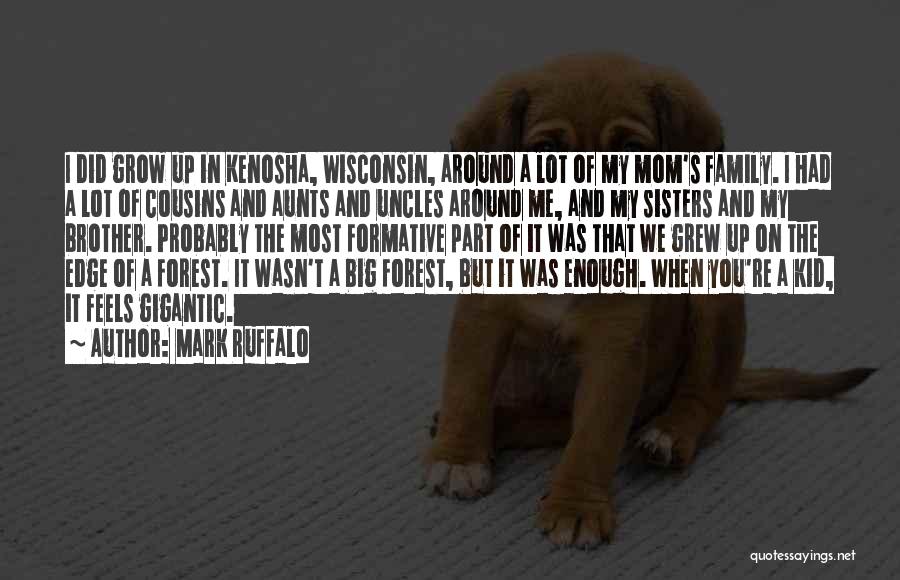Mark Ruffalo Quotes: I Did Grow Up In Kenosha, Wisconsin, Around A Lot Of My Mom's Family. I Had A Lot Of Cousins