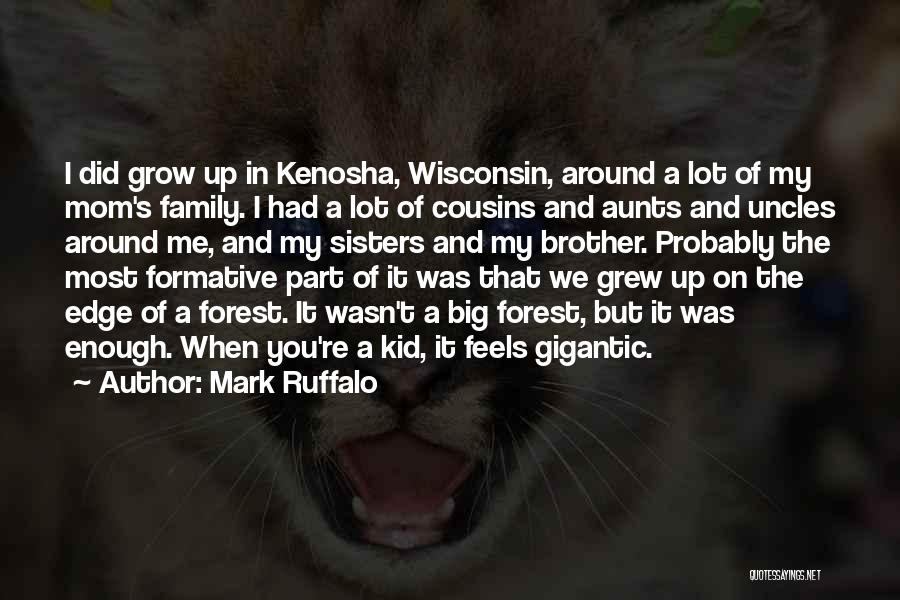 Mark Ruffalo Quotes: I Did Grow Up In Kenosha, Wisconsin, Around A Lot Of My Mom's Family. I Had A Lot Of Cousins