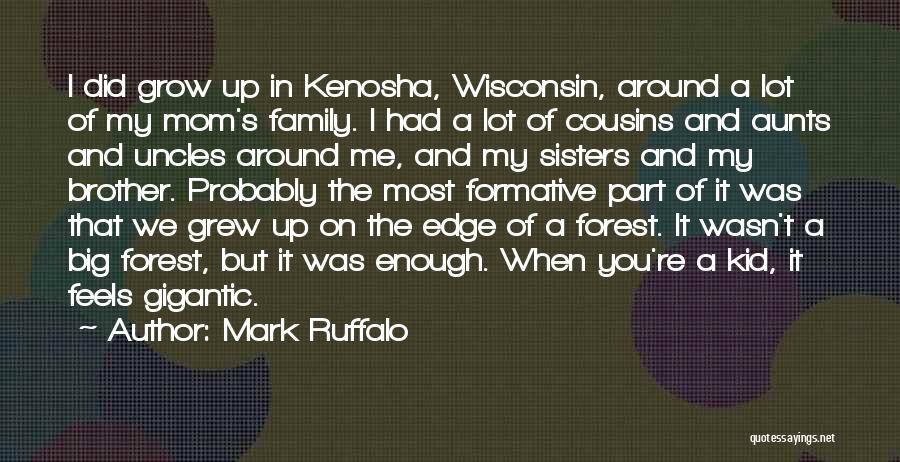 Mark Ruffalo Quotes: I Did Grow Up In Kenosha, Wisconsin, Around A Lot Of My Mom's Family. I Had A Lot Of Cousins