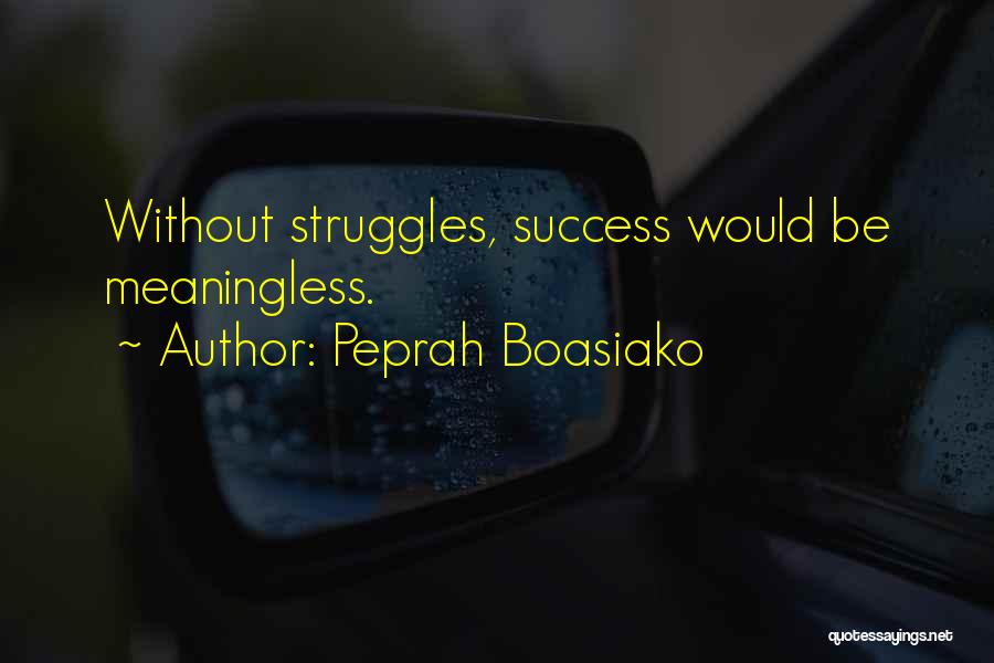 Peprah Boasiako Quotes: Without Struggles, Success Would Be Meaningless.