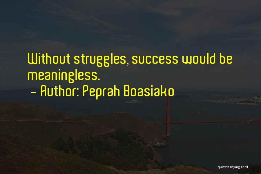 Peprah Boasiako Quotes: Without Struggles, Success Would Be Meaningless.