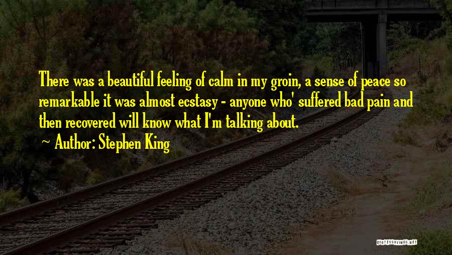 Stephen King Quotes: There Was A Beautiful Feeling Of Calm In My Groin, A Sense Of Peace So Remarkable It Was Almost Ecstasy