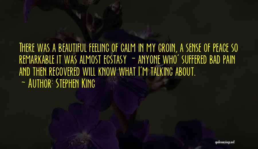 Stephen King Quotes: There Was A Beautiful Feeling Of Calm In My Groin, A Sense Of Peace So Remarkable It Was Almost Ecstasy